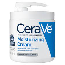 CeraVe Daily Moisturizing Cream with Pump (19 fl. oz.)